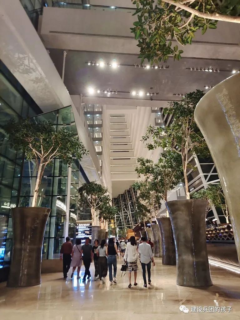 滨海湾夜景!第一次去新加坡不能错过这里