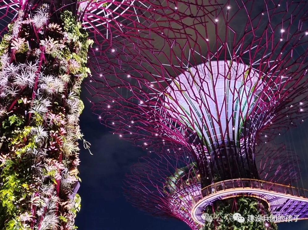 滨海湾夜景！第一次去新加坡不能错过这里