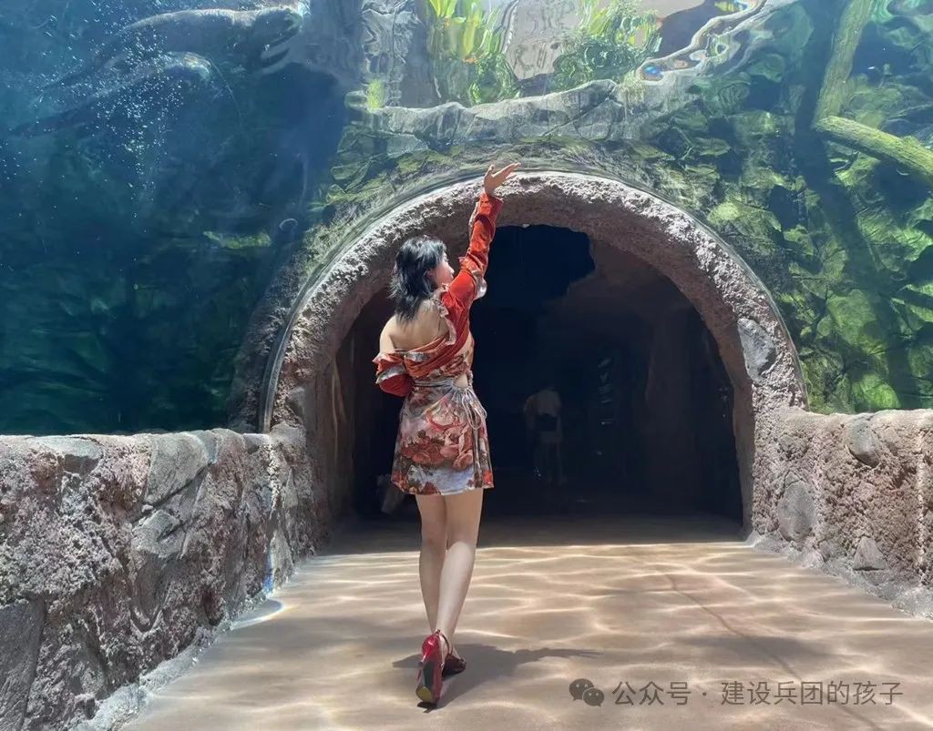 第一次去新加坡 ，被樟宜机场迷住了