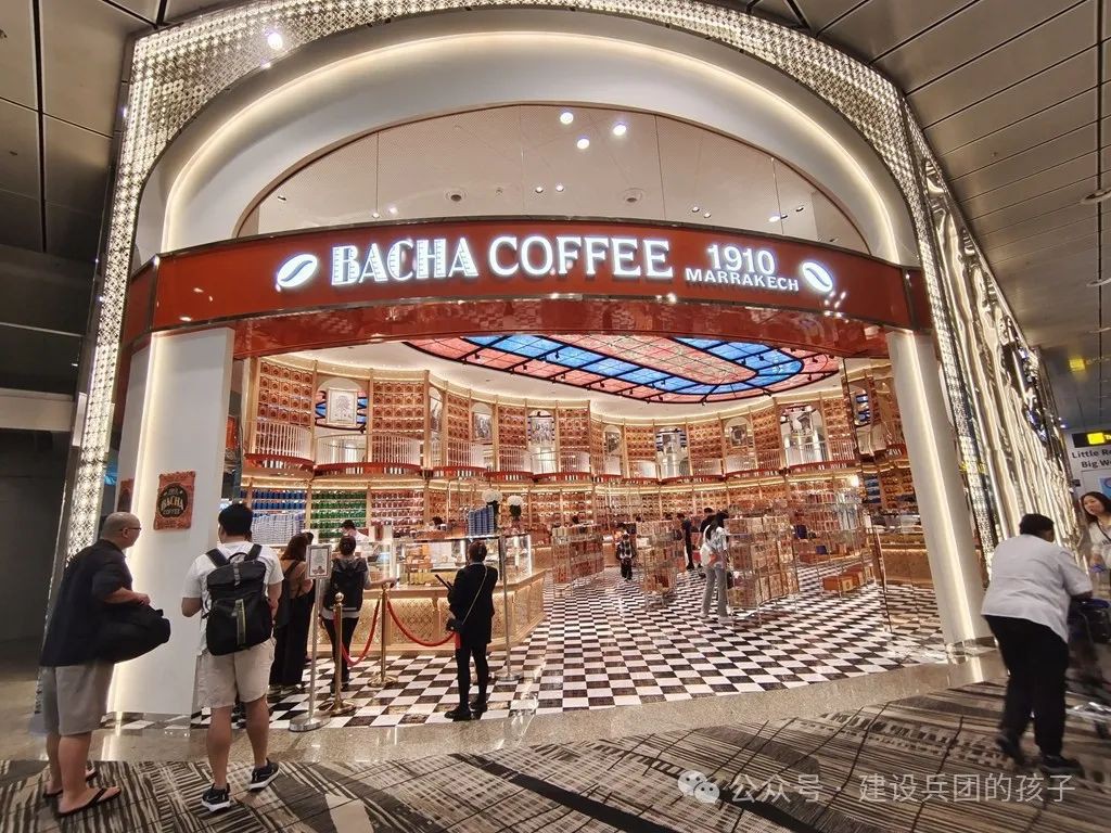 第一次去新加坡 ，被樟宜机场迷住了