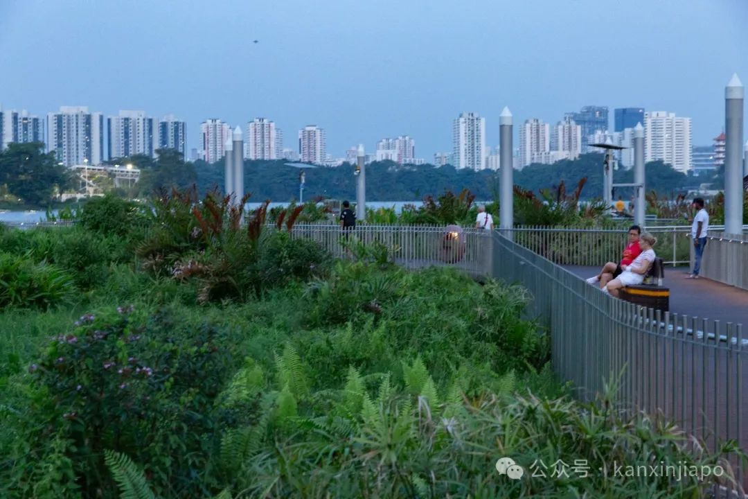 新加坡西部最经典徒步路线,全攻略来啦!
