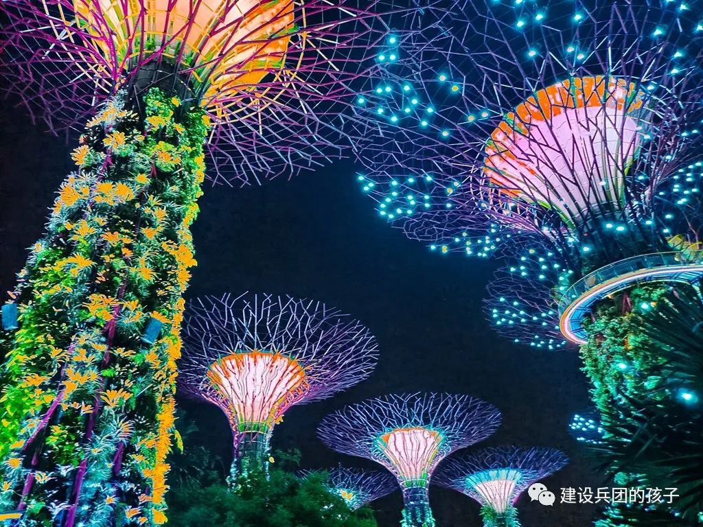 滨海湾夜景！第一次去新加坡不能错过这里