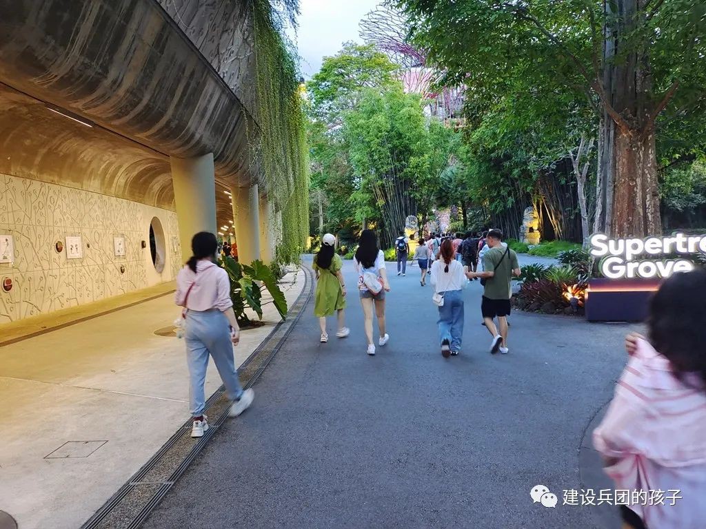 滨海湾夜景！第一次去新加坡不能错过这里