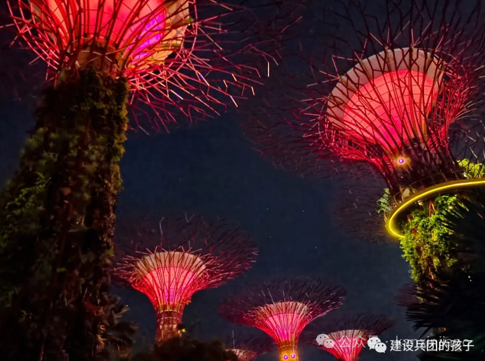 滨海湾夜景！第一次去新加坡不能错过这里