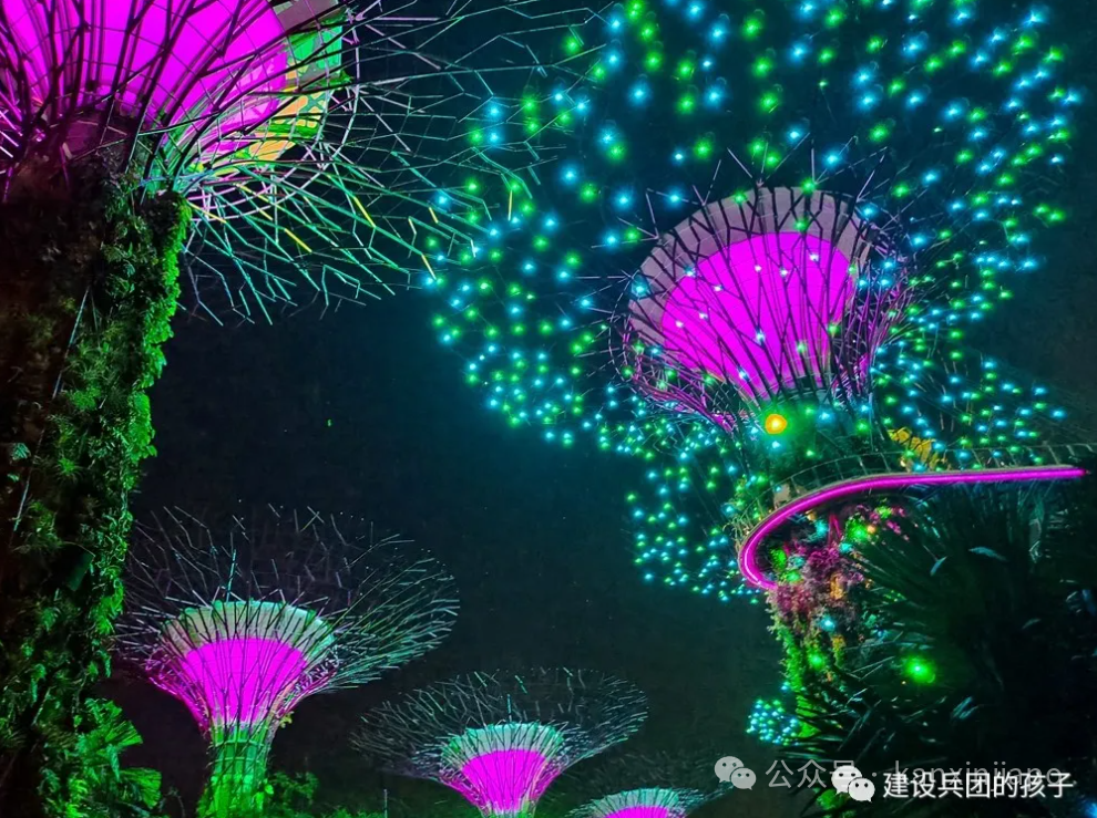 滨海湾夜景！第一次去新加坡不能错过这里