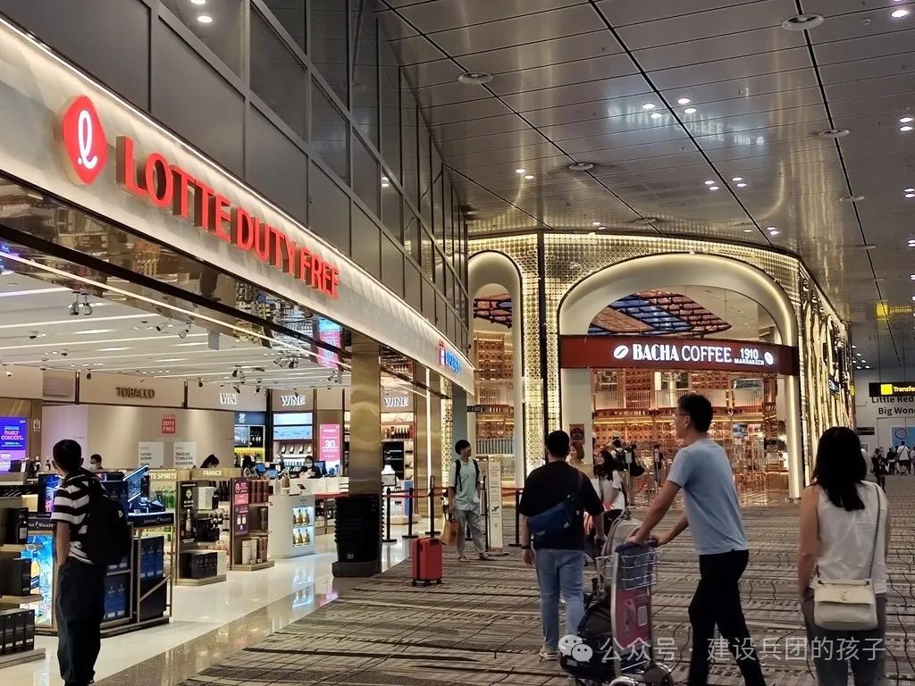 第一次去新加坡 ，被樟宜机场迷住了
