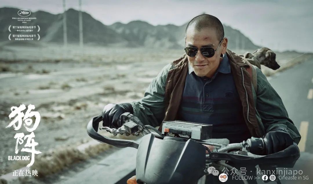 彭于晏即将“登陆”新加坡,爱狗人士都疯了
