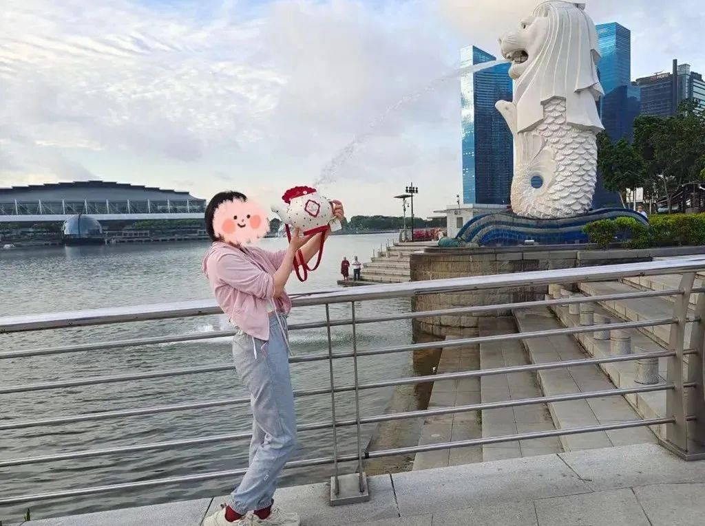 “第一次出国旅游，一定要去新加坡！”