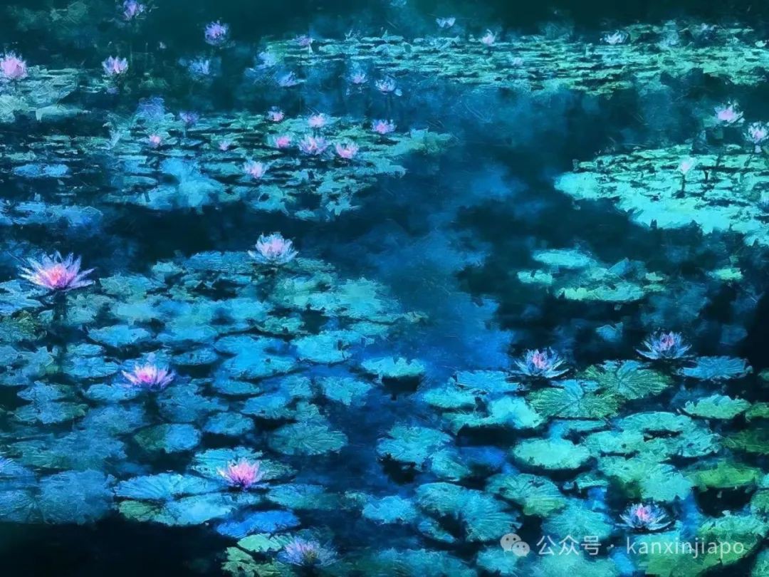 新加坡滨海湾花园印象莫奈主题展,沉浸式体验艺术气息