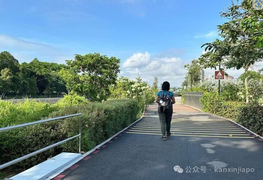 骑脚踏车、观鸟、散步,新加坡新增这2个散步骑行路段!
