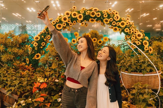 World's Largest Sunflower Display at Changi Airport