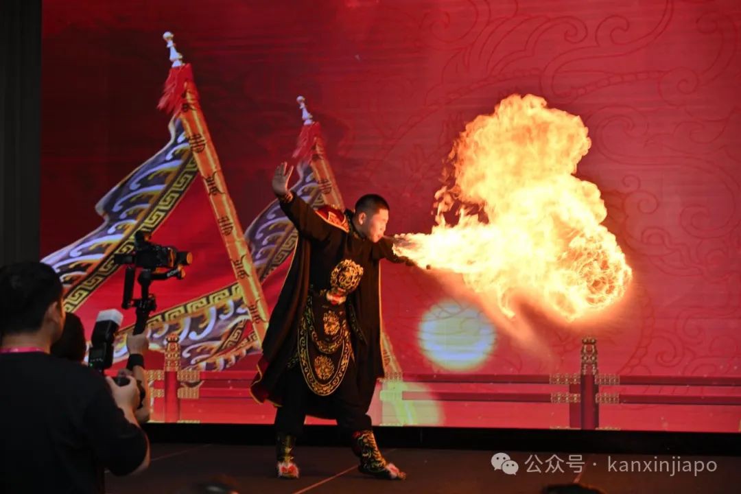 第六届新加坡国际文化节圆满落幕!武术、书法,舞蹈,戏曲等中华传统文化推向了全球