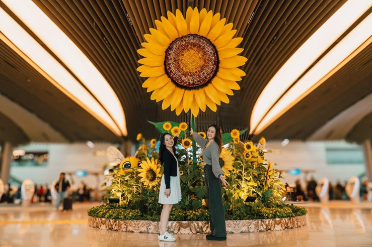 World's Largest Sunflower Display at Changi Airport