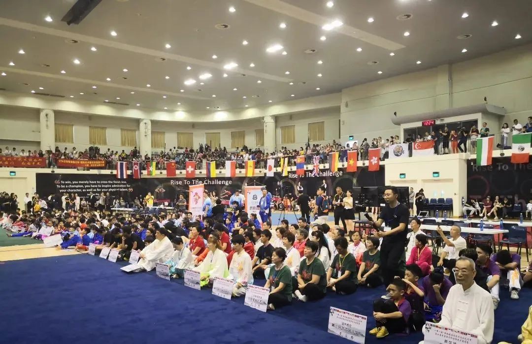第六届新加坡国际文化节圆满落幕!武术、书法,舞蹈,戏曲等中华传统文化推向了全球