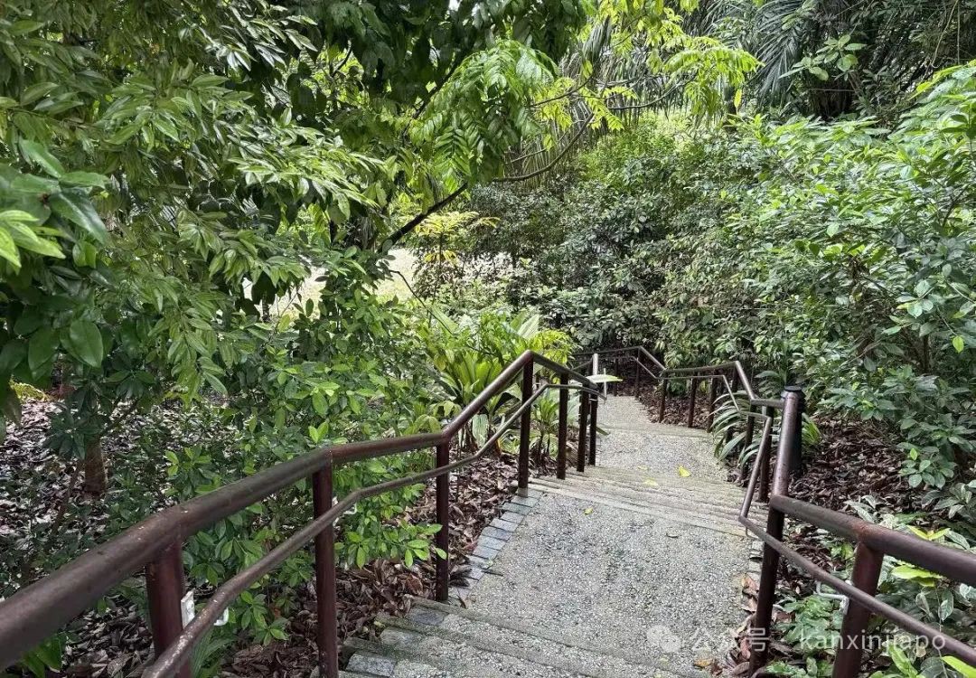新加坡植物园里典雅大气的黑白屋,原来长这样