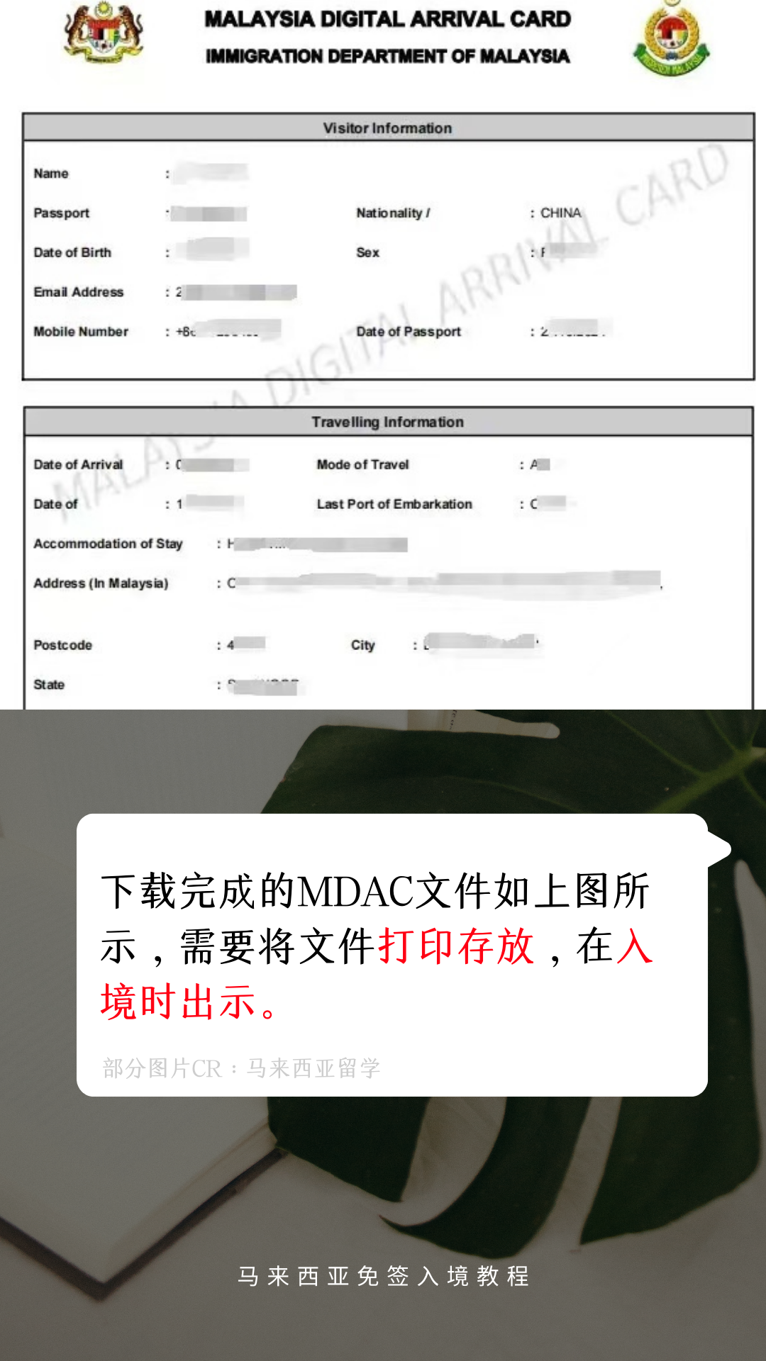 入境马来西亚必备教程！这些资料必填