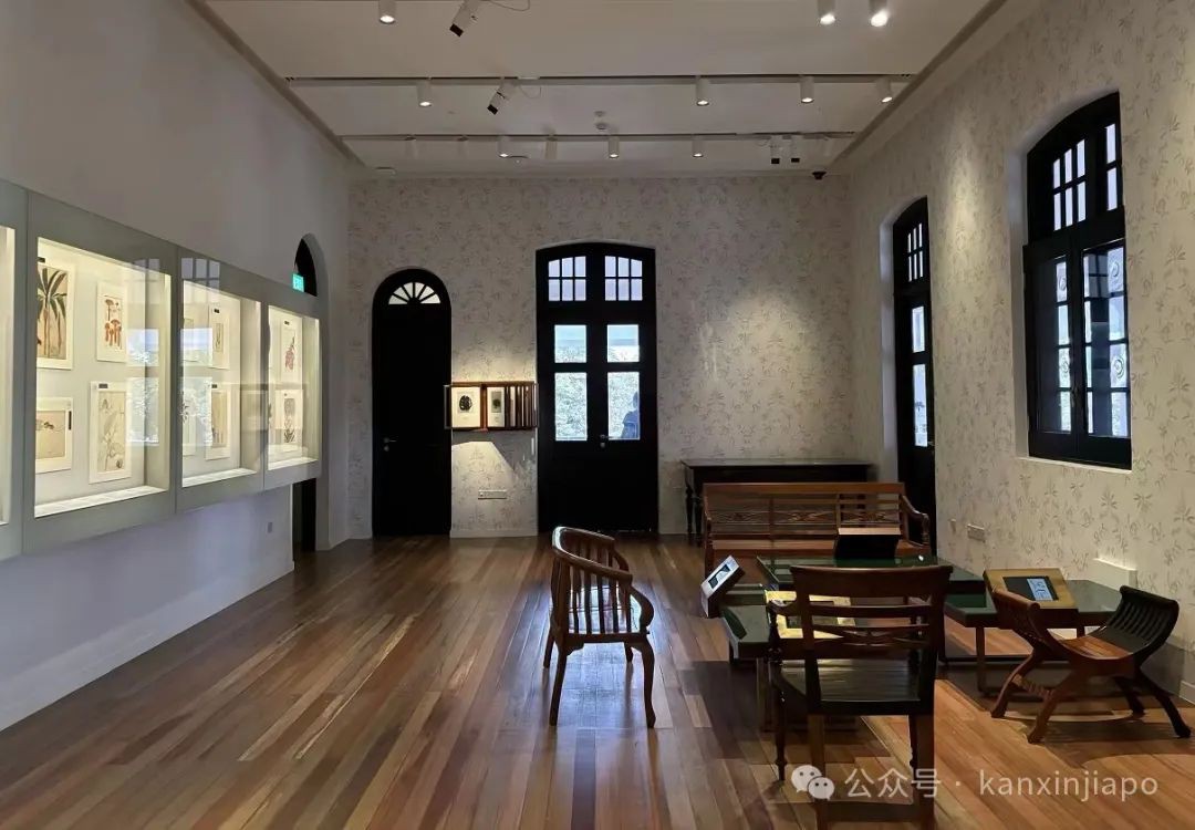 新加坡植物园里典雅大气的黑白屋,原来长这样