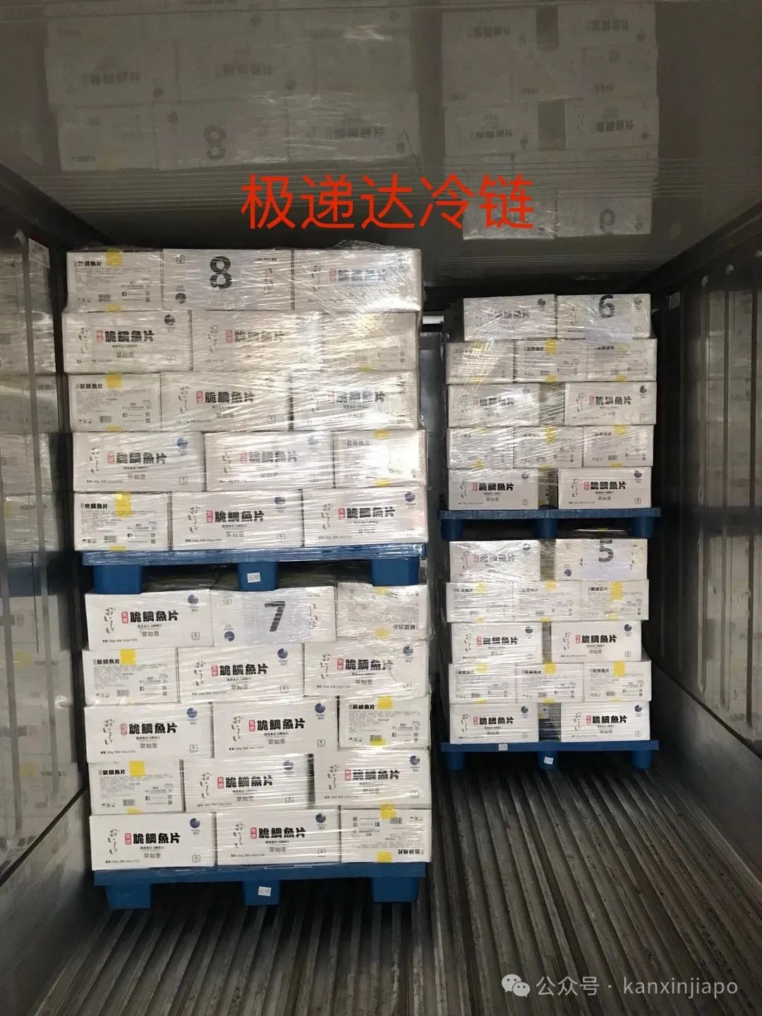 推荐一家中国回新加坡物流,最低价海运¥429/m³-冷链¥32/KG