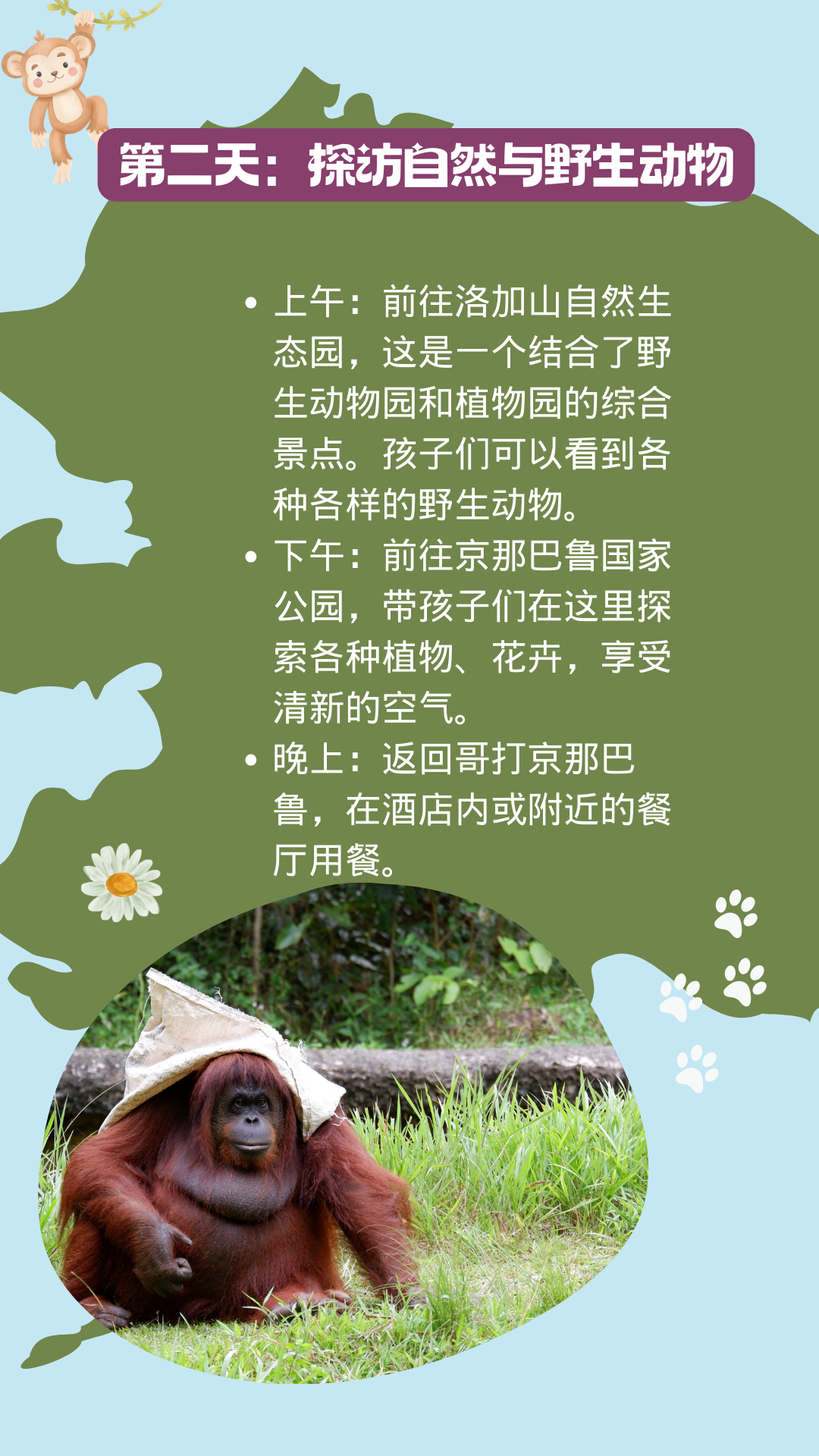 用5天时间，上山下海玩遍沙巴各地景点