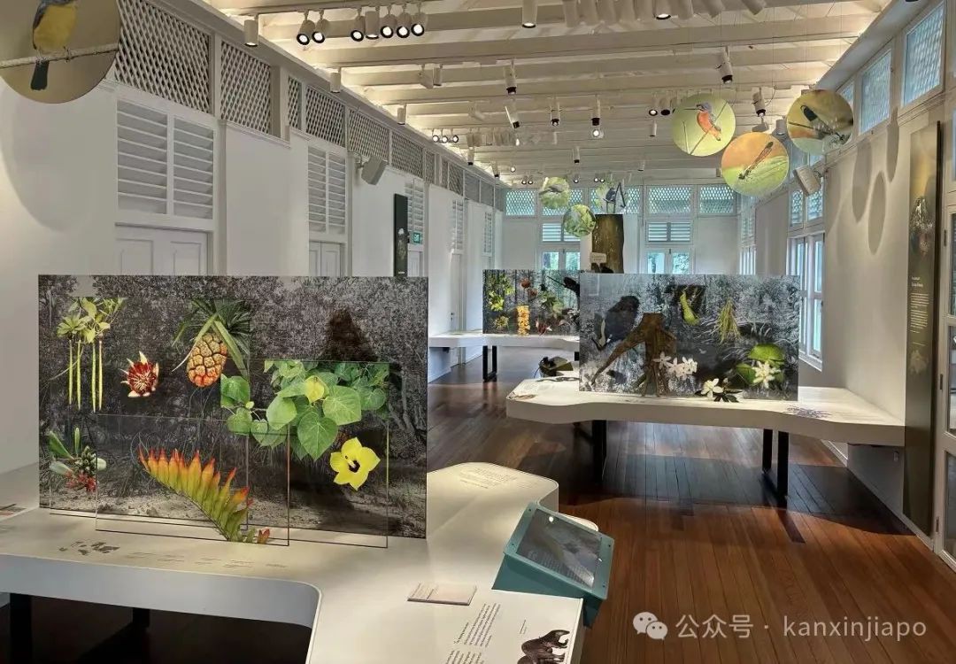 新加坡植物园里典雅大气的黑白屋,原来长这样