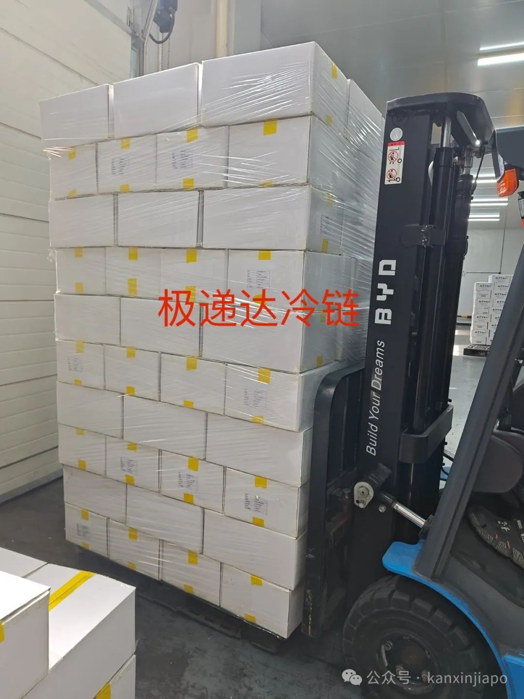 推荐一家中国回新加坡物流,最低价海运¥429/m³-冷链¥32/KG