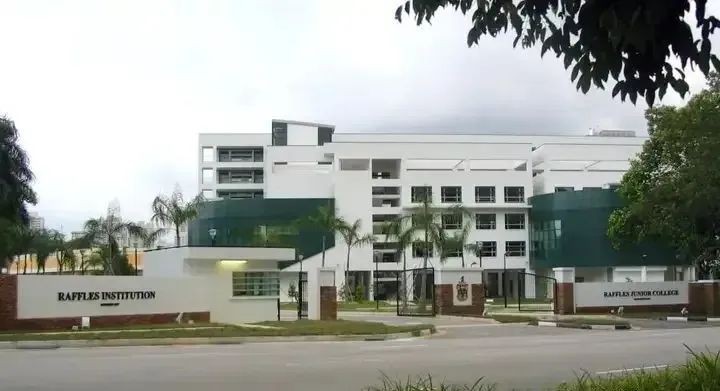 新加坡择校秘籍:帮孩子选对未来的关键一步!