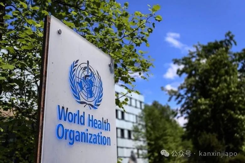 猴痘变种毒株或一个月后传入新加坡？辟谣传言：由新冠疫苗引起、只传同性恋