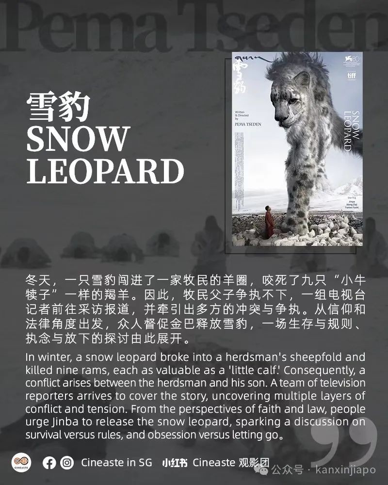 从《雪豹》到《撞死了一只羊》,万玛才旦电影展带你走进藏族文化!