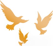 中秋倒计时!5家口碑爆棚的新加坡月饼推荐