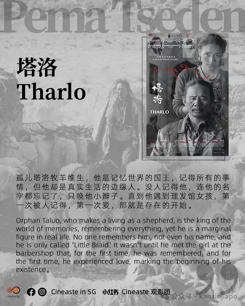 从《雪豹》到《撞死了一只羊》,万玛才旦电影展带你走进藏族文化!