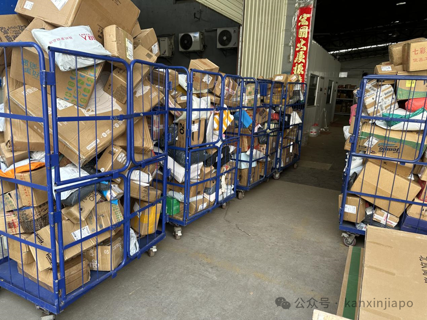 推荐一家中国回新加坡物流,最低价海运¥429/m³-冷链¥32/KG
