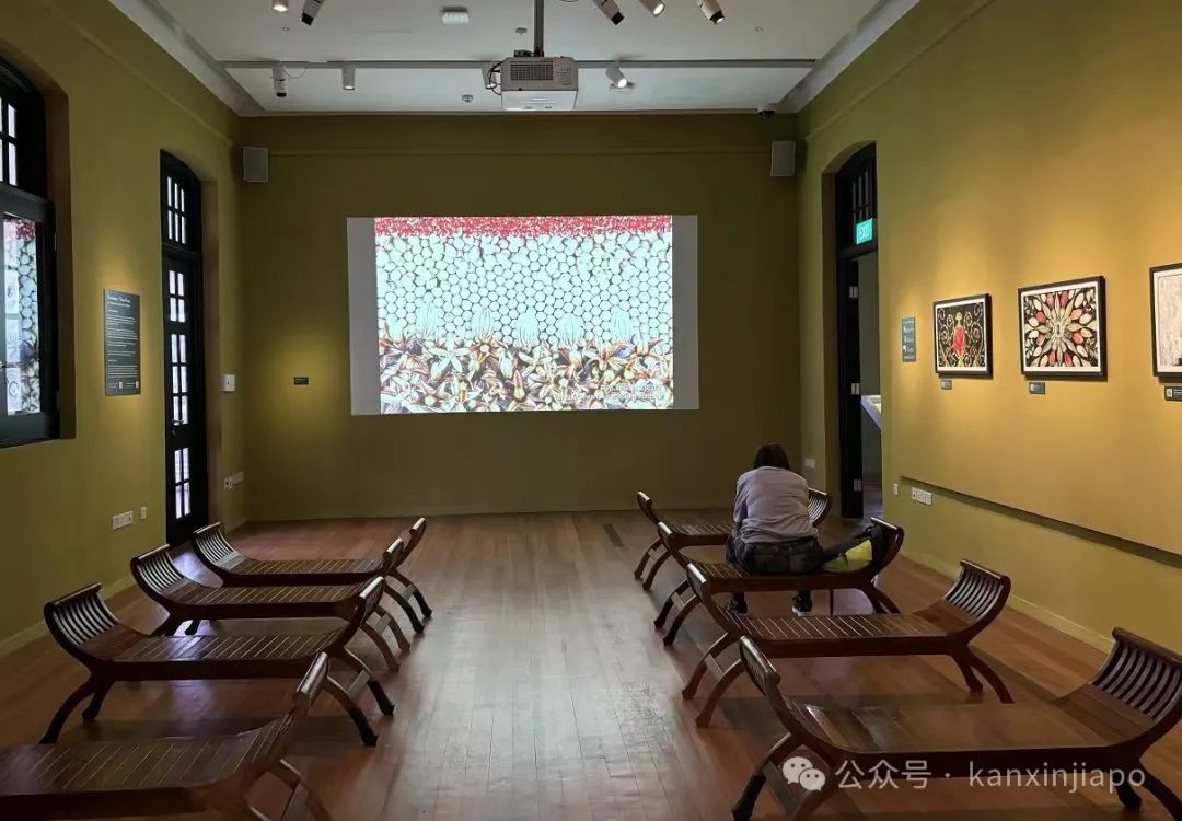 新加坡植物园里典雅大气的黑白屋,原来长这样