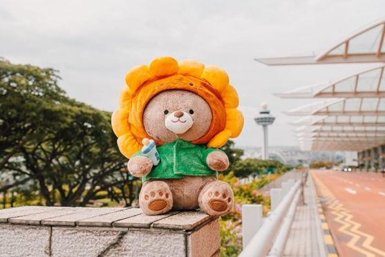 World's Largest Sunflower Display at Changi Airport