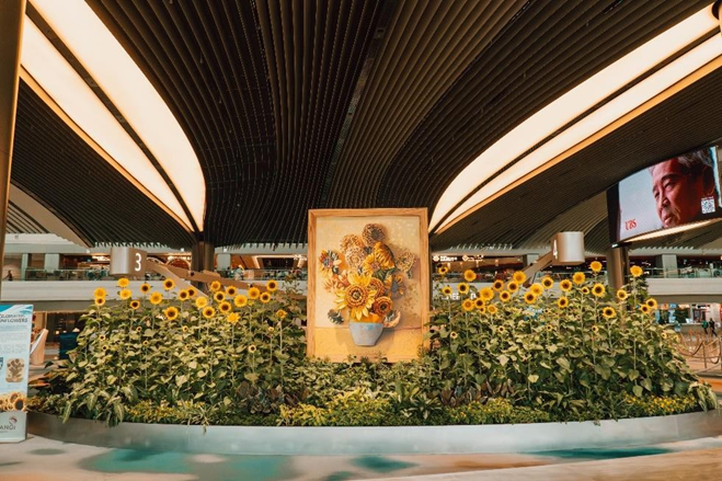 World's Largest Sunflower Display at Changi Airport