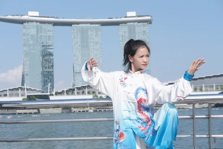 第六届新加坡国际文化节圆满落幕!武术、书法,舞蹈,戏曲等中华传统文化推向了全球