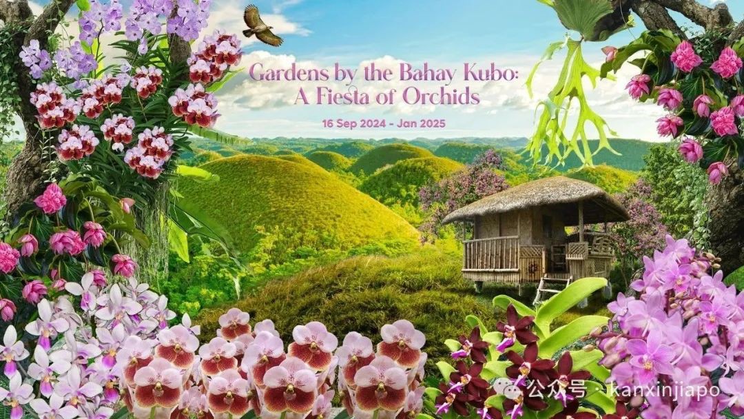 【下周活动】滨海湾花园花卉展、CBD下午茶、国家博物馆137周年展、武老师分享奥数讲座活动都在这里