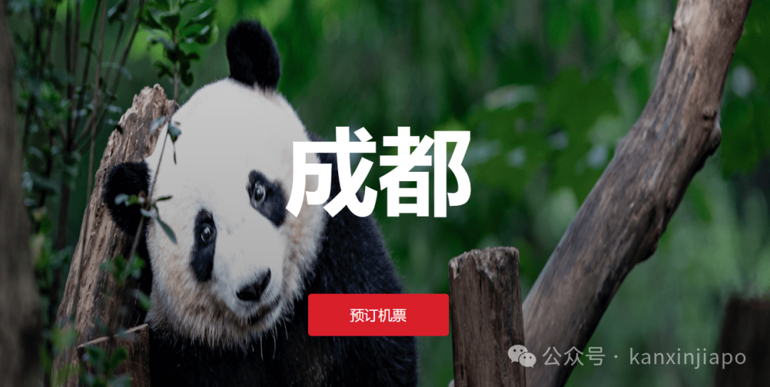 夜航新选择!新加坡成都往返,三天两夜就能打卡游!