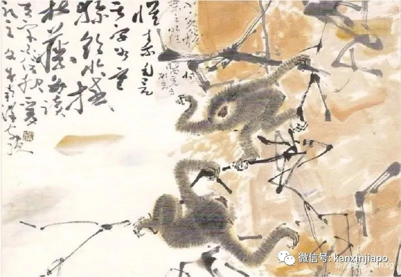 新加坡钞票上的图案竟然藏着国家的发展故事!