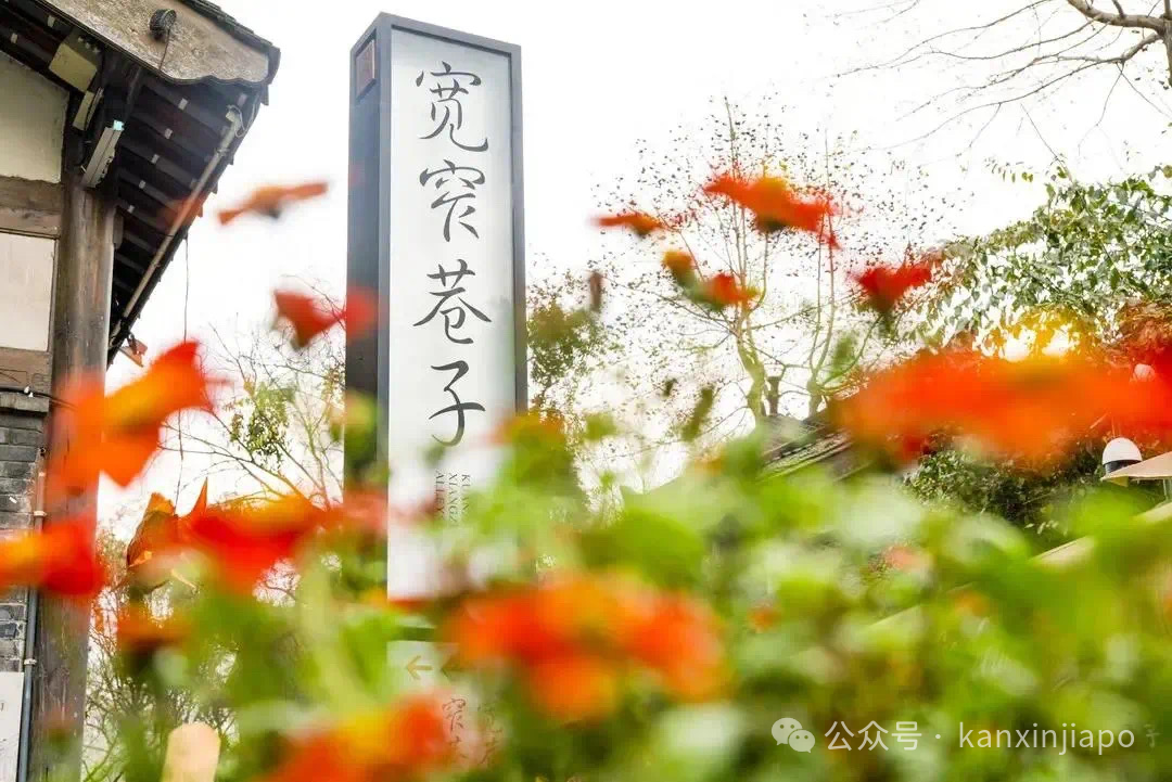 夜航新选择!新加坡成都往返,三天两夜就能打卡游!