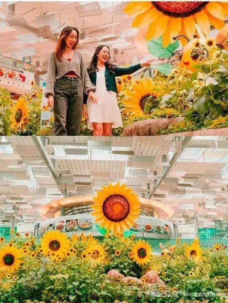 【下周活动】樟宜机场向日葵之旅、中秋庆典、万圣节惊魂夜,还有更多精彩活动等你来!