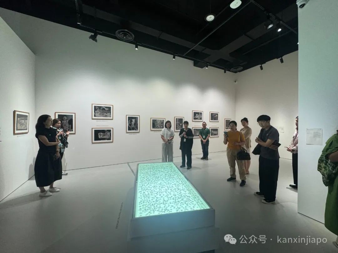限时免费！19位全球艺术家的作品登陆新加坡