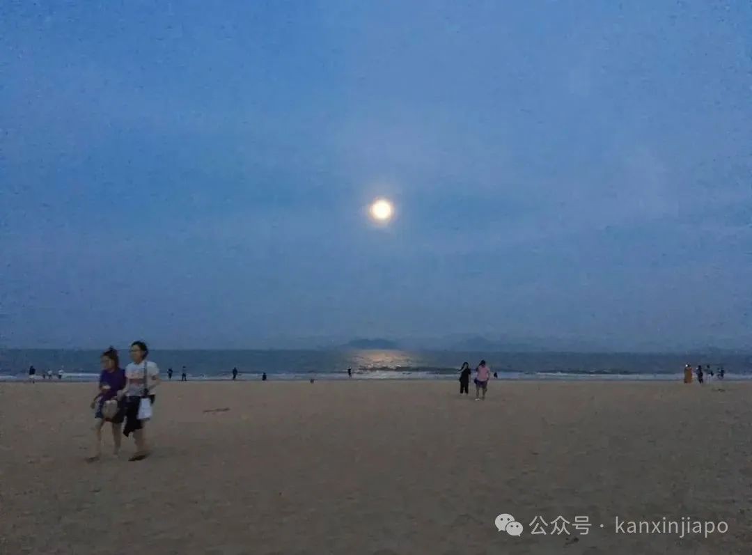 在新加坡月下喝酒，吃海鲜，过得像神仙一样