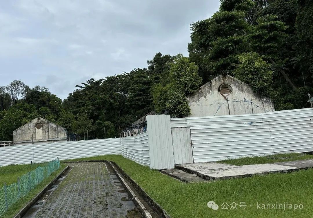 游览了新加坡的圣约翰岛，才知道这里原来是难民营和监狱