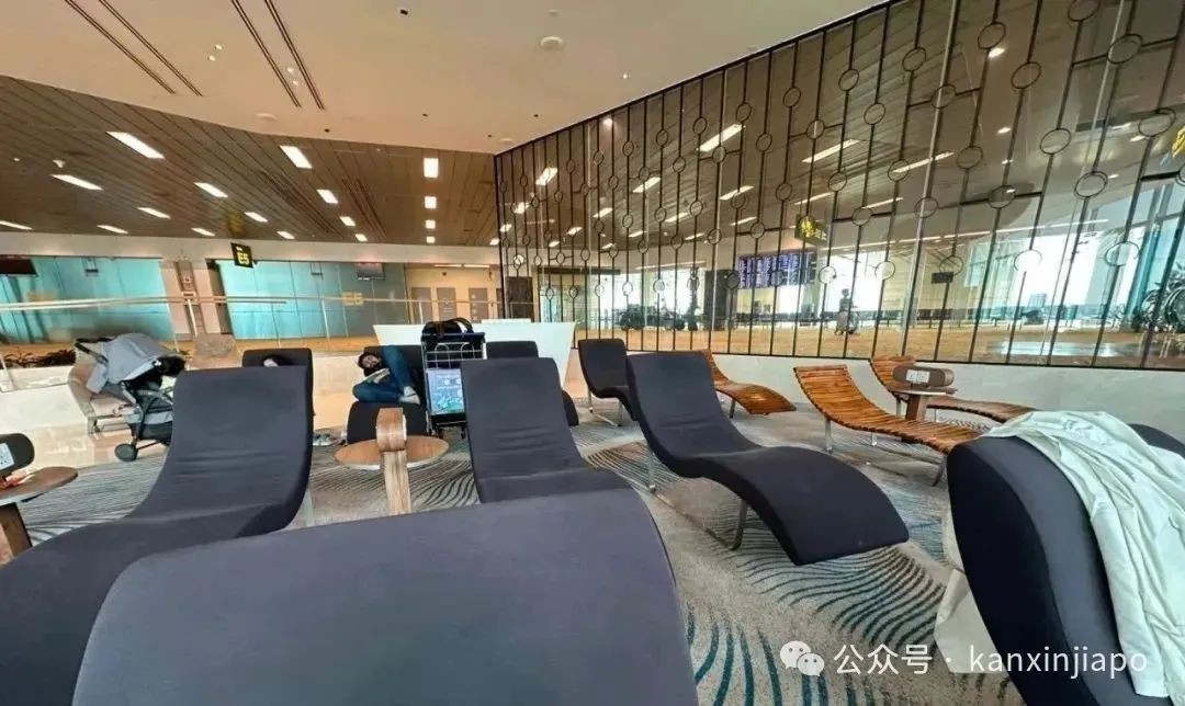 樟宜机场被评为“最上镜机场”之一，这些打卡点超出片~