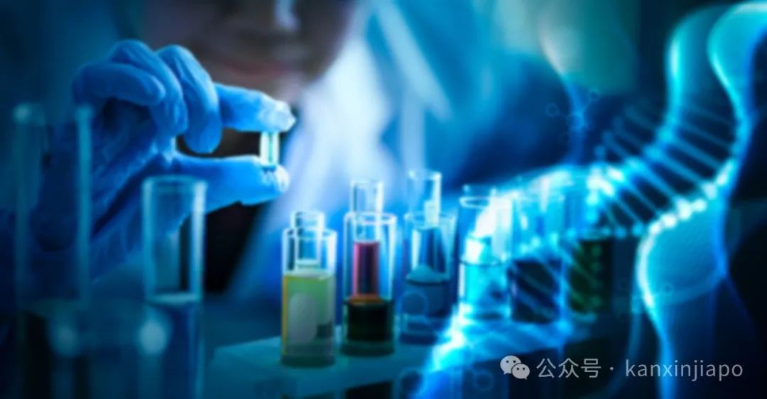 为什么这样多科技企业把海外总部设在新加坡？
