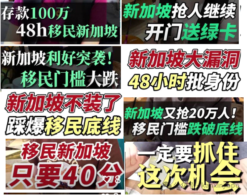 别再坑你同胞了，行不？