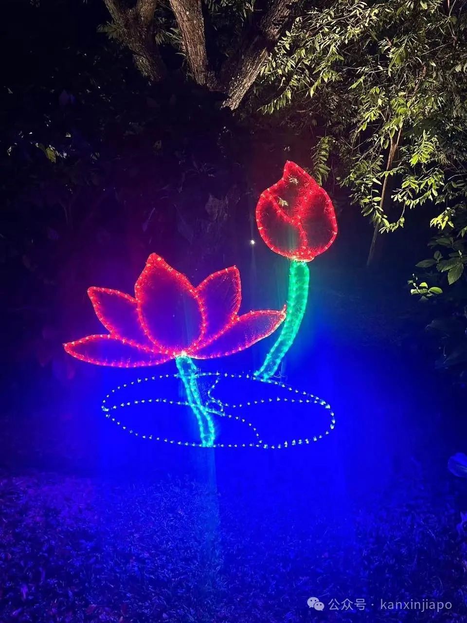 裕廊湖中秋灯会来了!和嫦娥、哪吒、白娘子一起赏月,新加坡总统也会来