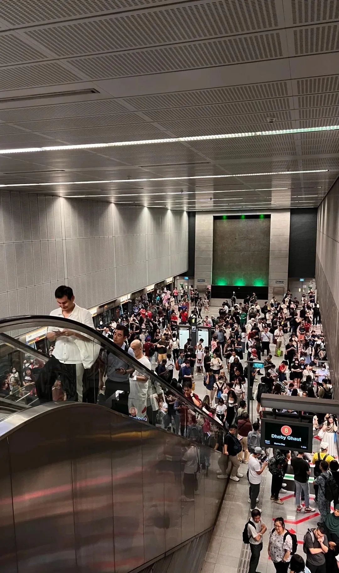 新加坡中秋夜狂风暴雨突袭！地铁瘫痪，树倒车砸，人员受伤，全岛一片混乱...