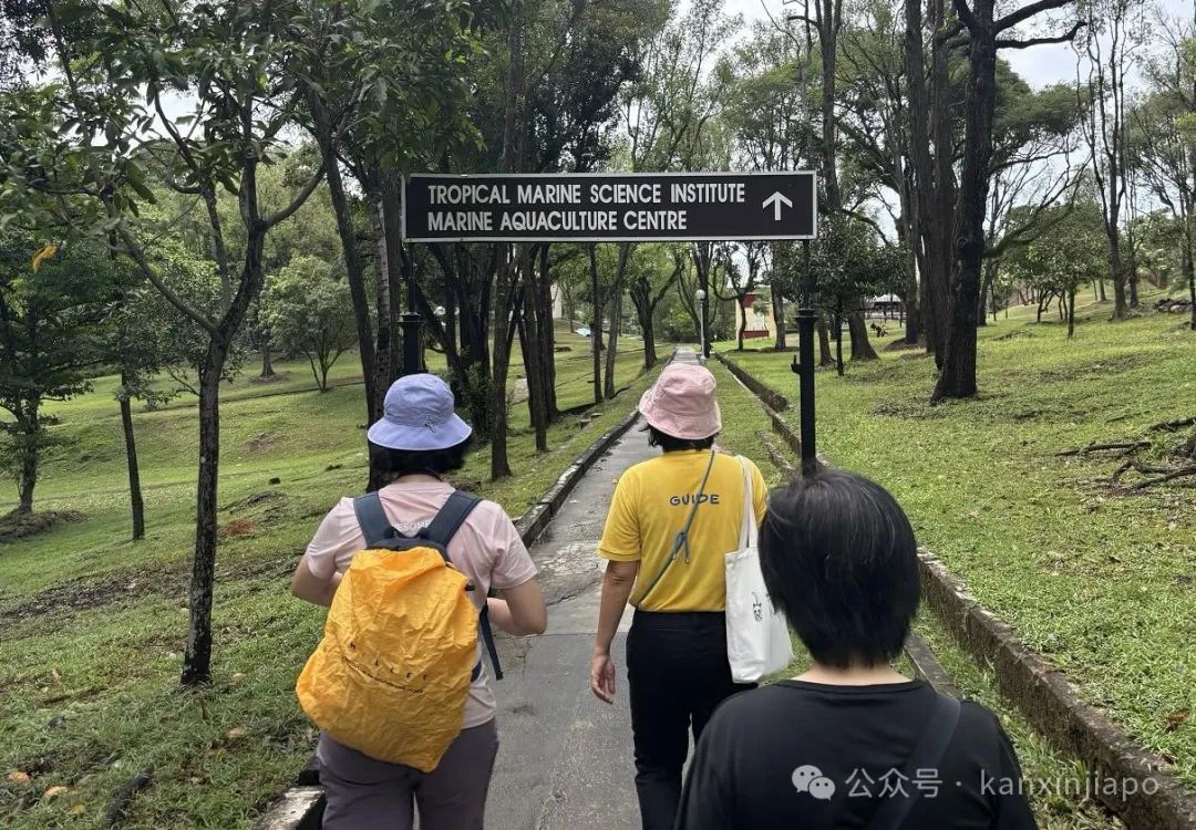 游览了新加坡的圣约翰岛，才知道这里原来是难民营和监狱