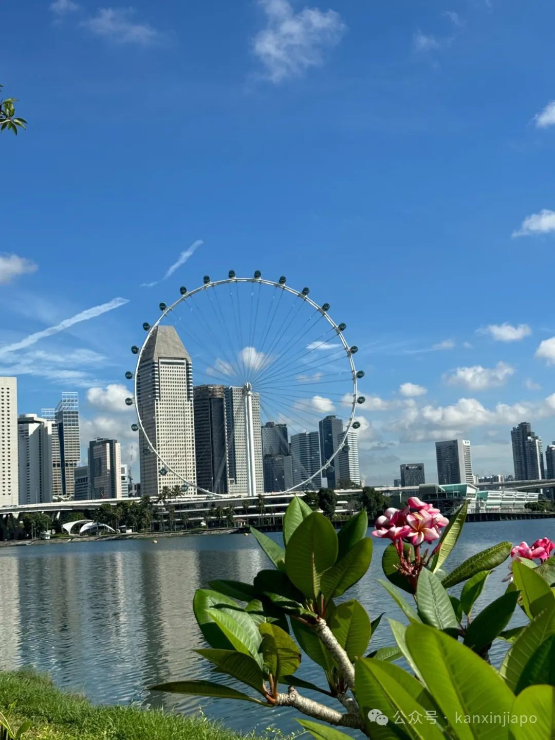 全球唯一夜间F1比赛即将开启!新加坡让全世界看见滨海湾